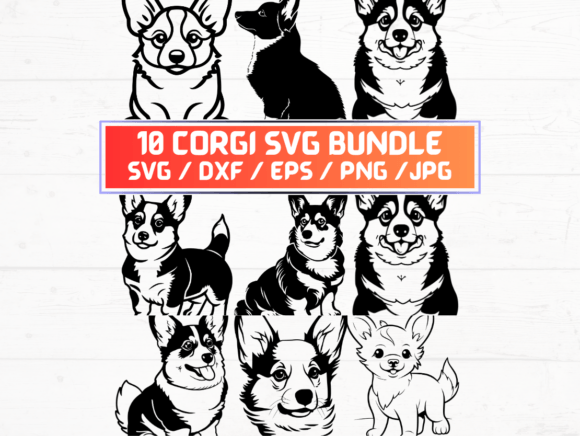 Corgi SVG: Graphics & Crafts Design Asset Review