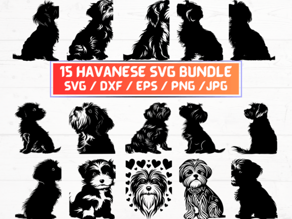 Havanese SVG: A Graphic Asset for Crafts and Branding