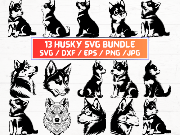 Husky SVG: A Designer’s Real-World Embroidery Review