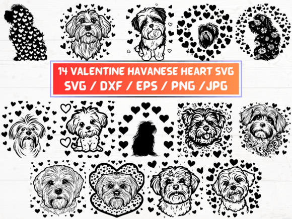Valentine Havanese Heart Graphics for Crafts